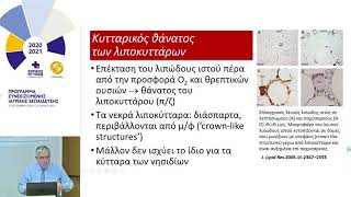 video-tsapogas-20210105